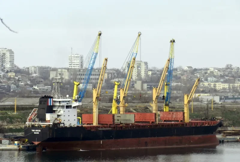 THOR HORIZON Bulk Carrier IMO 9137117 photo 6
