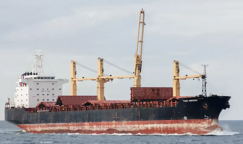 THOR HORIZON Bulk Carrier IMO 9137117 photo 8