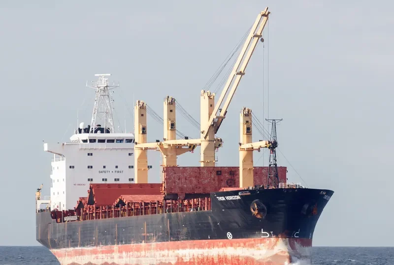 THOR HORIZON Bulk Carrier IMO 9137117 photo 9
