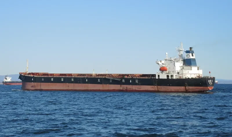TAI HANG 1 Bulk Carrier IMO 9137131