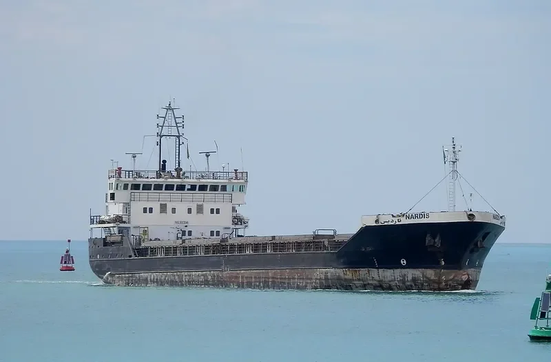 NARDIS General Cargo IMO 9137246 photo 2
