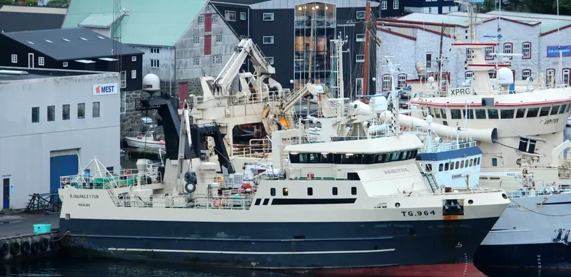 VIKING ALLIANCE General Cargo IMO 9137454 photo 2