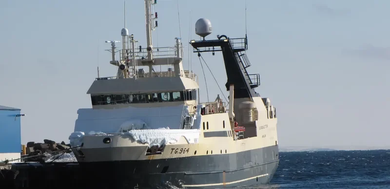 VIKING ALLIANCE General Cargo IMO 9137454 photo 8