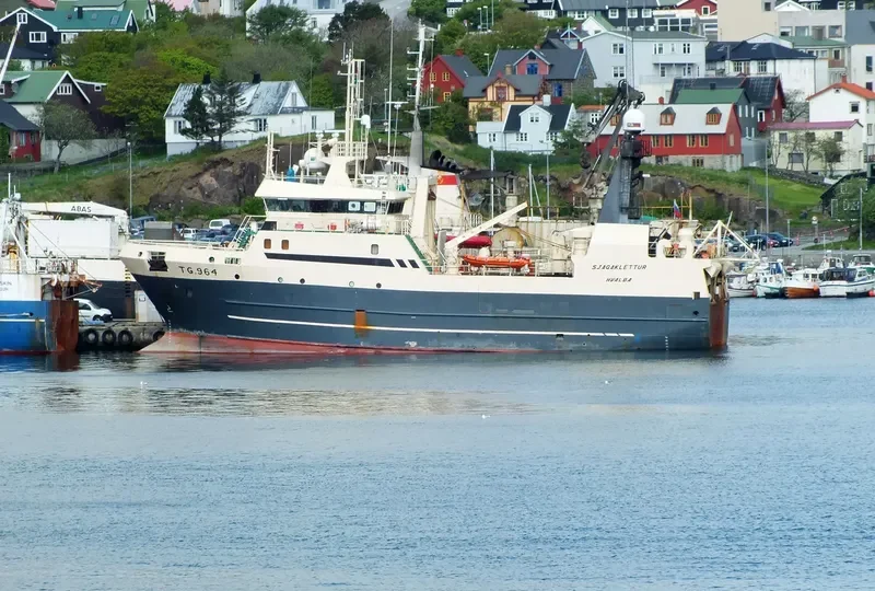 VIKING ALLIANCE General Cargo IMO 9137454 photo 9