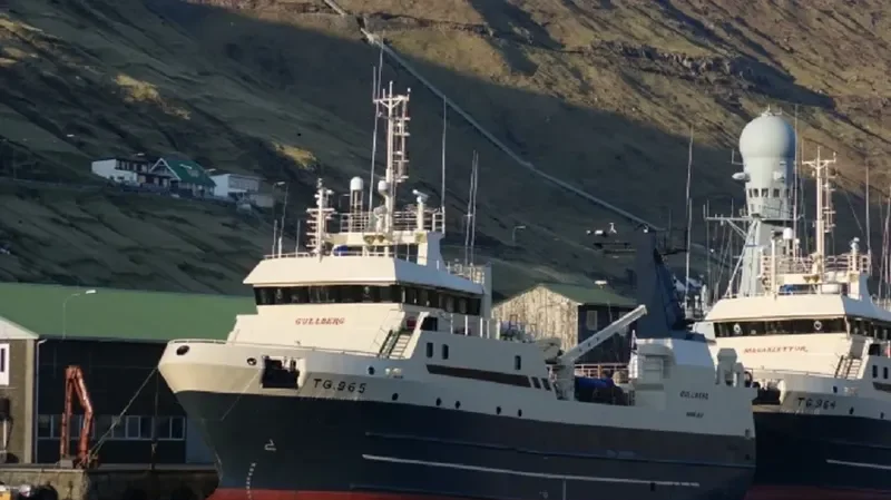 GULLBERG General Cargo IMO 9137466