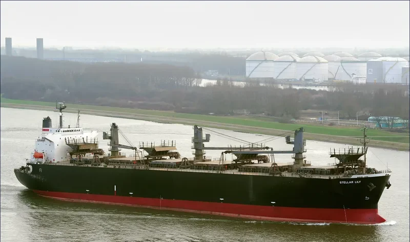 HAO HUNG 666 Bulk Carrier IMO 9137961