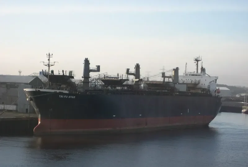 HAO HUNG 666 Bulk Carrier IMO 9137961 photo 3