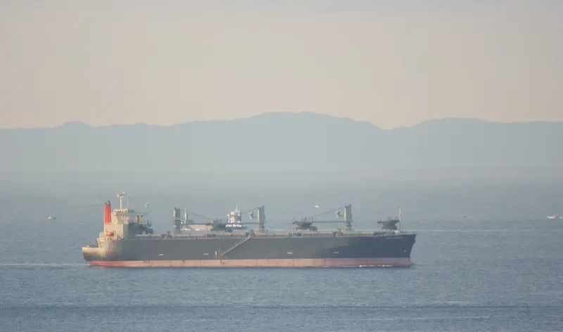 GLOBAL EXPLORER Bulk Carrier IMO 9137973 photo 7