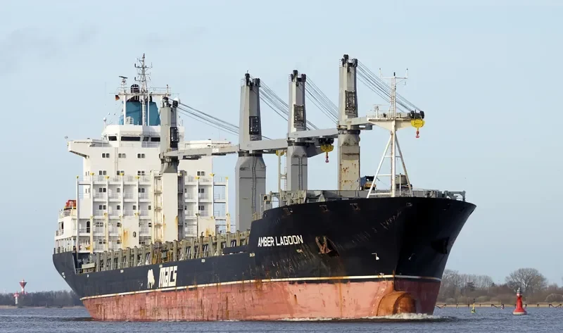 MAGNOLIA General Cargo IMO 9138123 photo 38