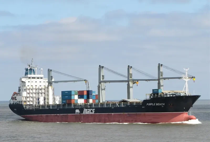 PURPLE BEACH General Cargo IMO 9138135
