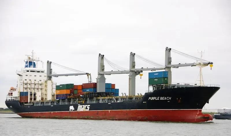PURPLE BEACH General Cargo IMO 9138135 photo 3