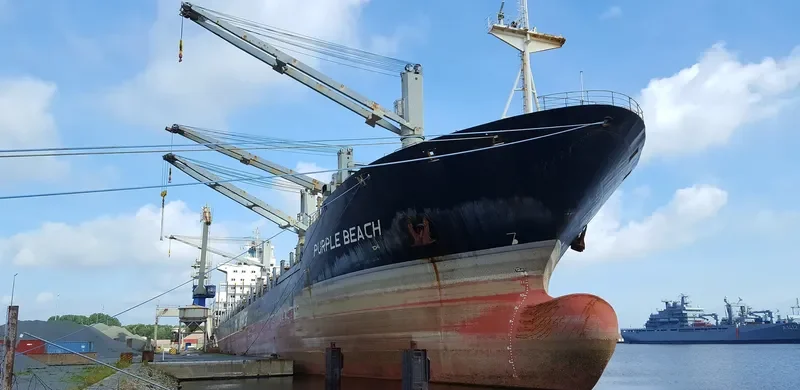 PURPLE BEACH General Cargo IMO 9138135 photo 8