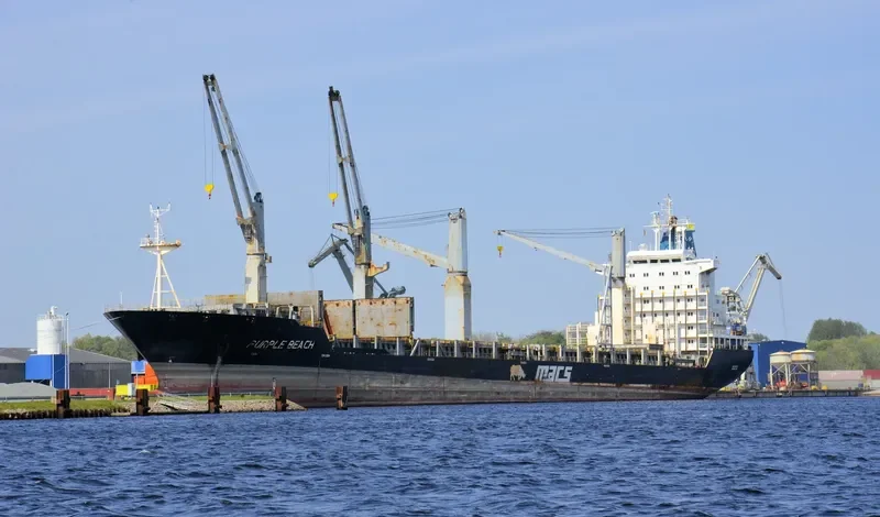 PURPLE BEACH General Cargo IMO 9138135 photo 9