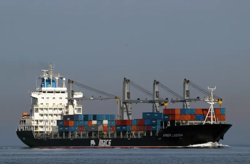 PURPLE BEACH General Cargo IMO 9138135 photo 10