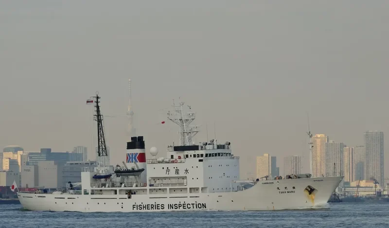 TOKO MARU General Cargo IMO 9138484 photo 8