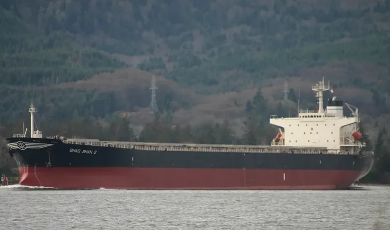 SHAO SHAN 1 Bulk Carrier IMO 9138496 photo 6