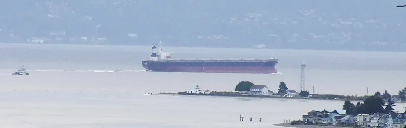 YUN TONG HAI Bulk Carrier IMO 9138501 photo 9