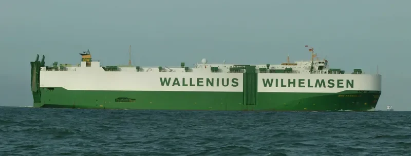DON PASQUALE General Cargo IMO 9138513 photo 8
