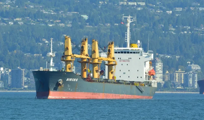 GOLDEN OCEAN Bulk Carrier IMO 9138628 photo 8