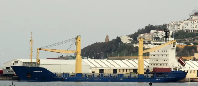 TANTO DAMAI General Cargo IMO 9138666