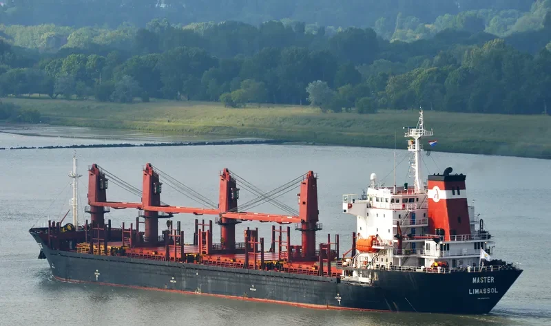 MASTER Bulk Carrier IMO 9138678 photo 8