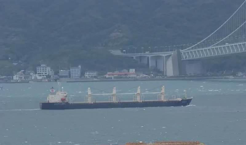 RUN FU 3 Bulk Carrier IMO 9138903 photo 3