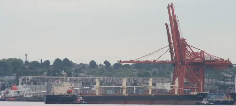 RUN FU 3 Bulk Carrier IMO 9138903 photo 7
