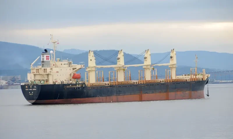 RUN FU 3 Bulk Carrier IMO 9138903 photo 9