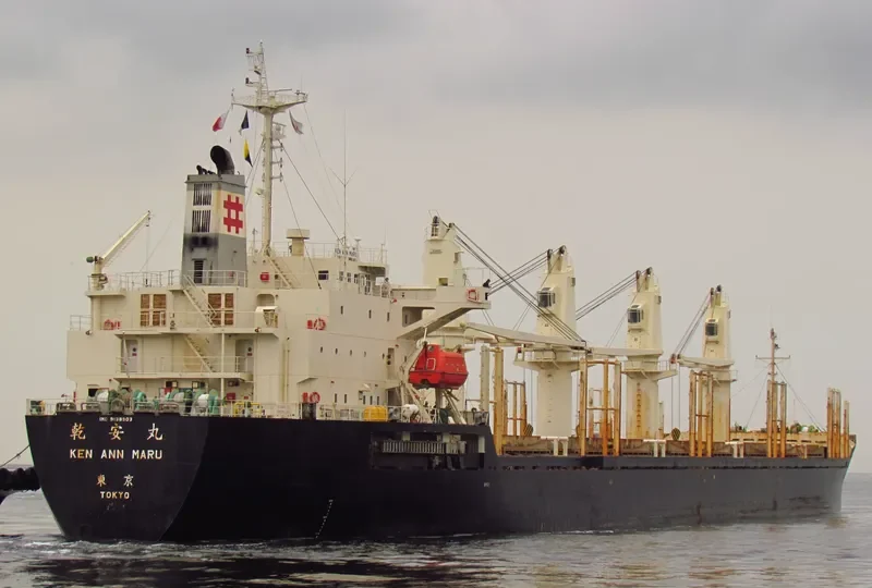 RUN FU 3 Bulk Carrier IMO 9138903 photo 10