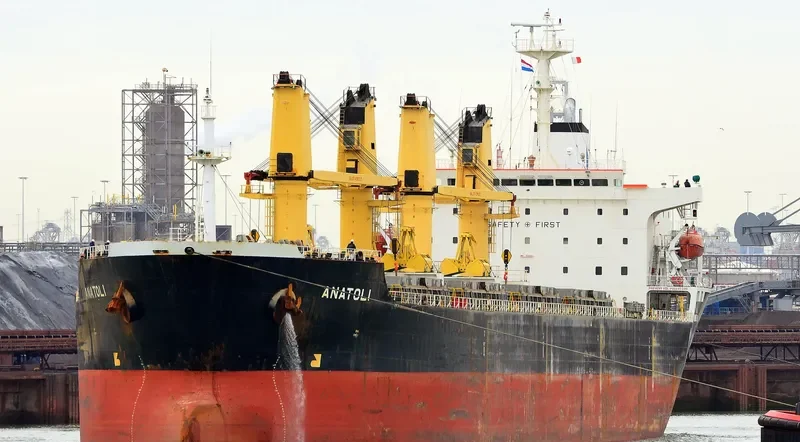 ANATOLI Bulk Carrier IMO 9138941 photo 6