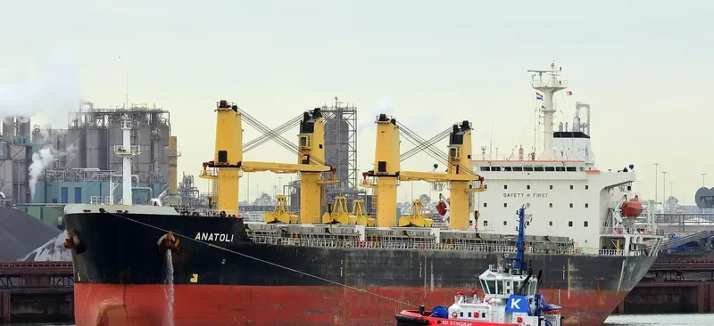 ANATOLI Bulk Carrier IMO 9138941 photo 7