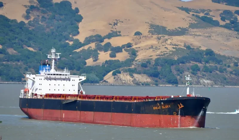 GREAT GLORY Bulk Carrier IMO 9138989