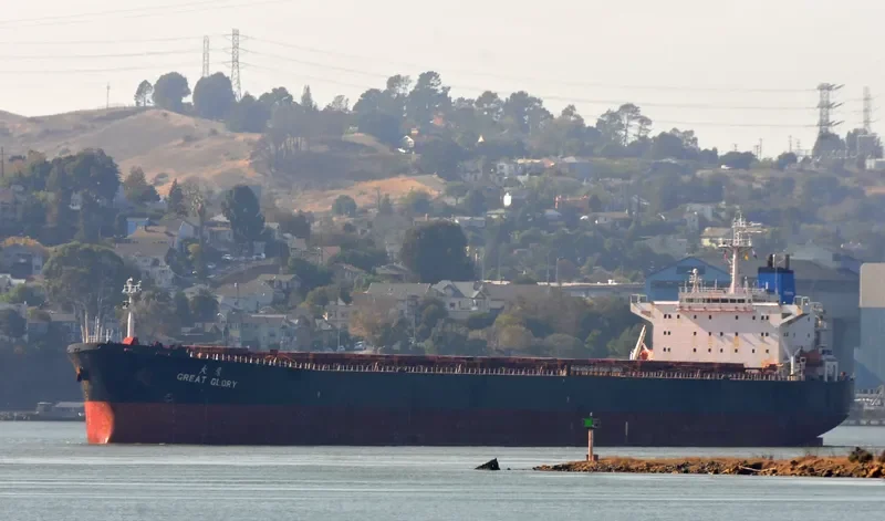 GREAT GLORY Bulk Carrier IMO 9138989 photo 3