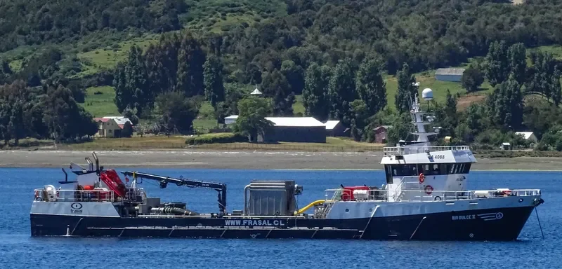 RIO DULCE II General Cargo IMO 9139543 photo 8