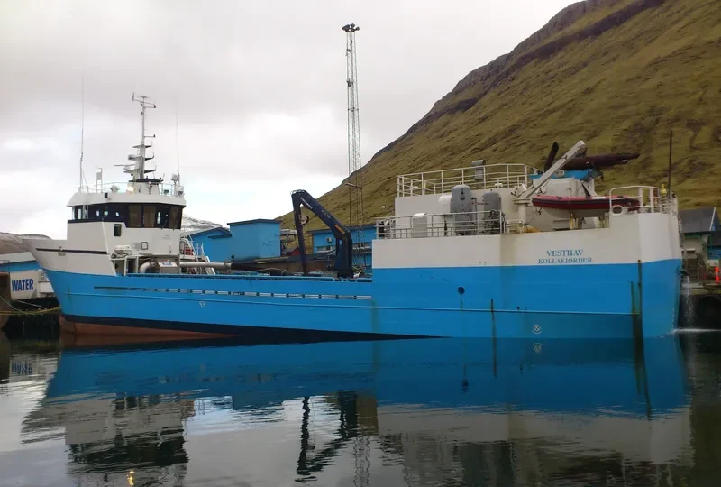 VESTHAV General Cargo IMO 9139555 photo 2