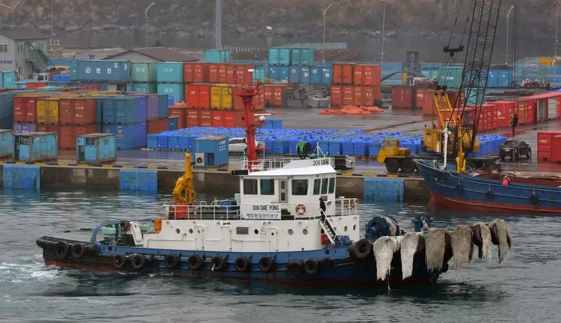306DAERYONG General Cargo IMO 9139701
