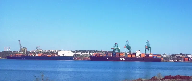 APL PEARL Container Ship IMO 9139737 photo 4
