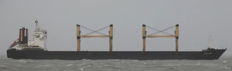 THOR WAVE Bulk Carrier IMO 9139775
