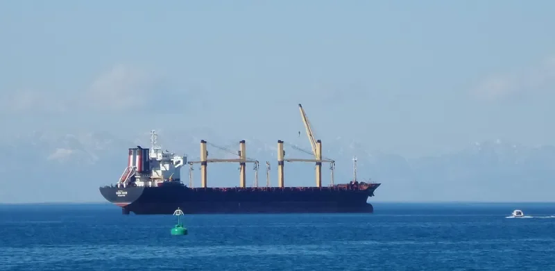 THOR WAVE Bulk Carrier IMO 9139775 photo 2