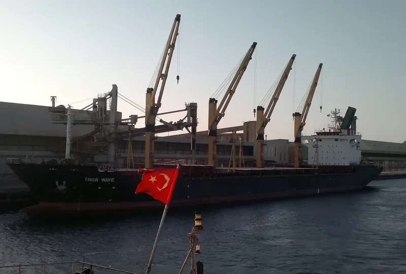 THOR WAVE Bulk Carrier IMO 9139775 photo 3