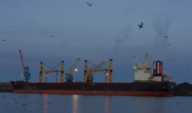 THOR WAVE Bulk Carrier IMO 9139775 photo 4