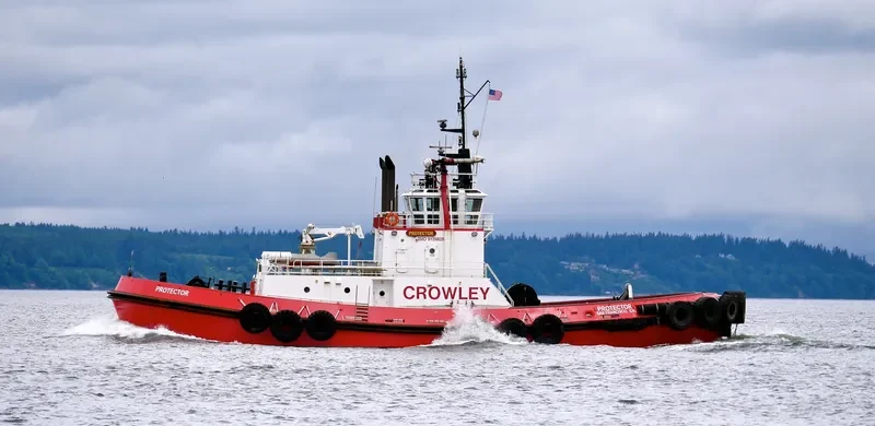PROTECTOR General Cargo IMO 9139828