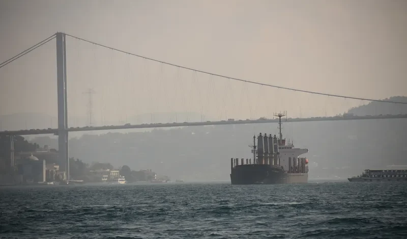 OCEAN WIT Bulk Carrier IMO 9139971 photo 4