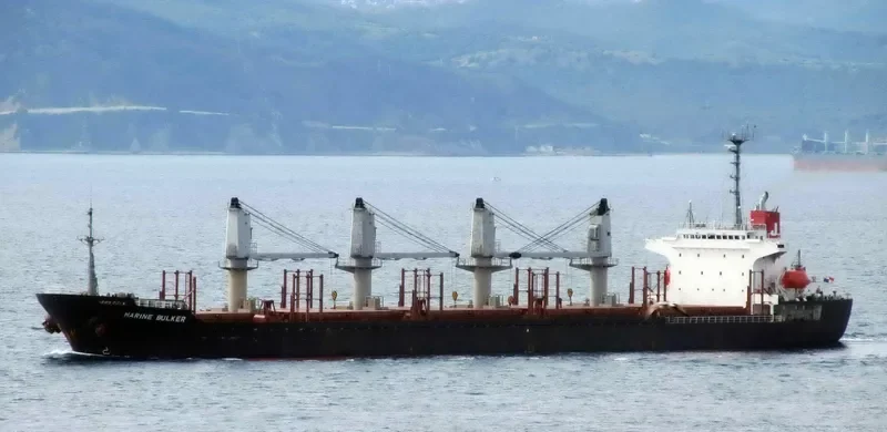 OCEAN WIT Bulk Carrier IMO 9139971 photo 8