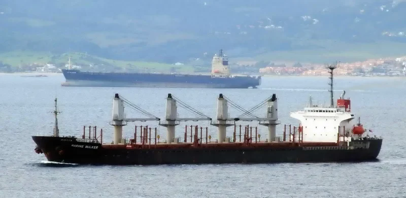OCEAN WIT Bulk Carrier IMO 9139971 photo 9
