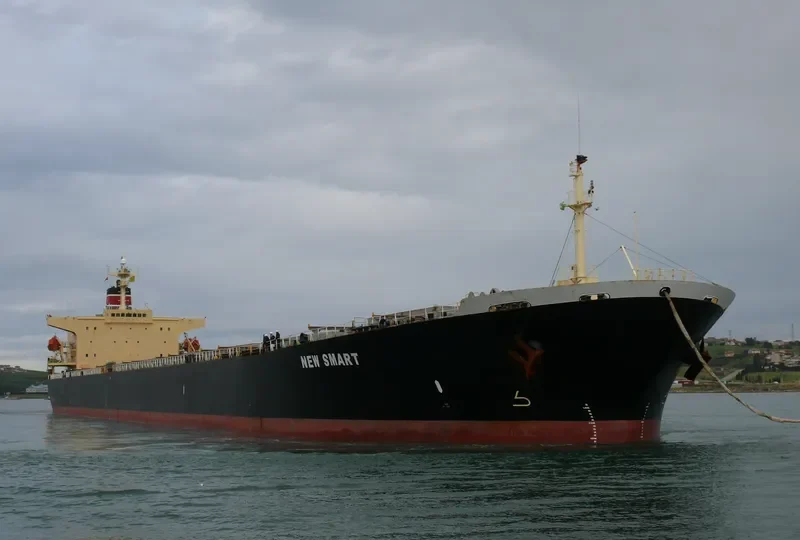 NEW SMART Bulk Carrier IMO 9139983 photo 4