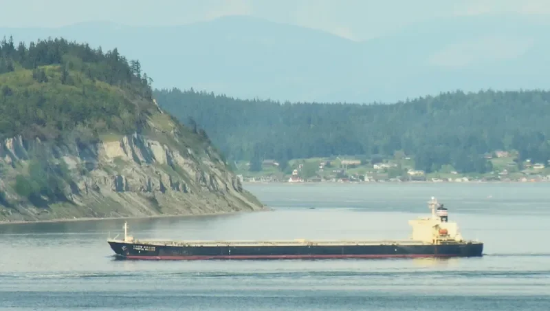 NEW SMART Bulk Carrier IMO 9139983 photo 6