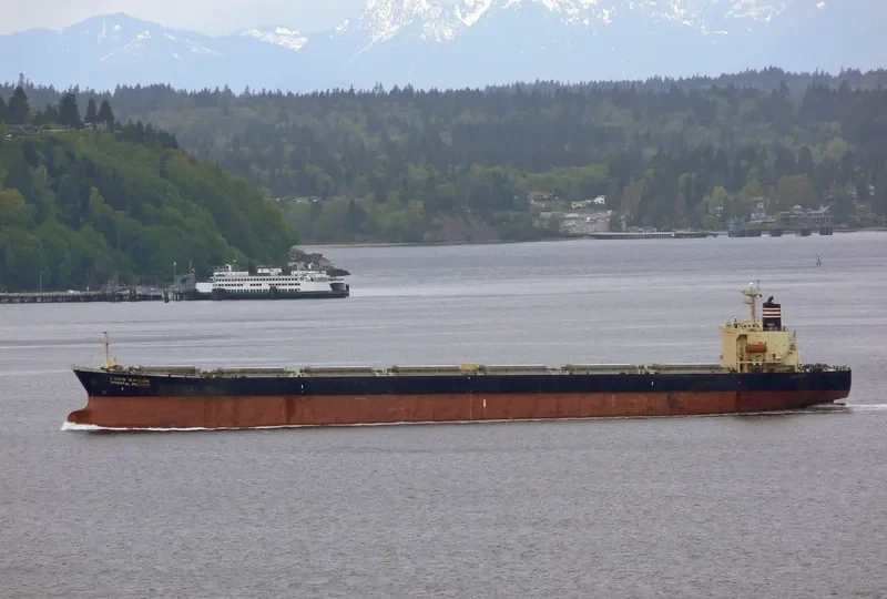 NEW SMART Bulk Carrier IMO 9139983 photo 8