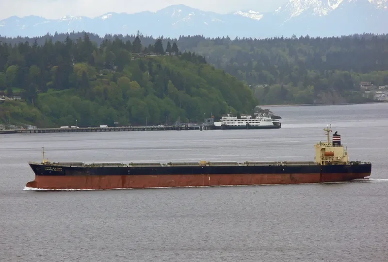NEW SMART Bulk Carrier IMO 9139983 photo 9