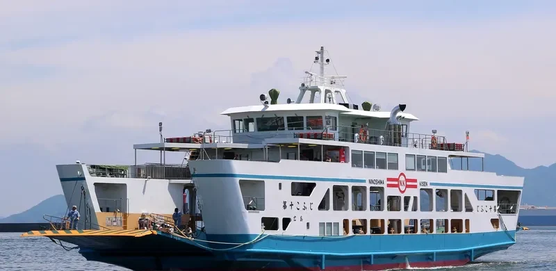 KOFUJI NO.10 Passenger Ship IMO 9140059 photo 2